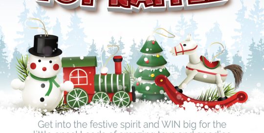 Christmas Toy Raffle Sydney